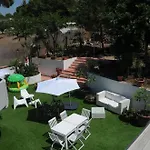 The Garden